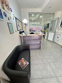 Toelettatura avviata da 10 anni