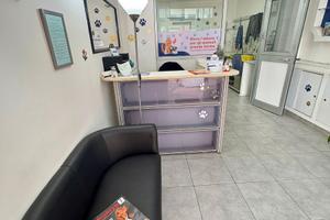 Toelettatura avviata da 10 anni