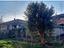 Immagine 18