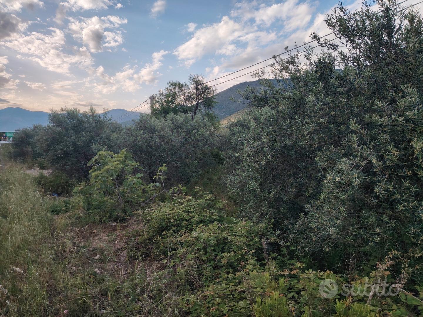Terreno Agricolo - Vista 2