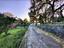 Immagine 12