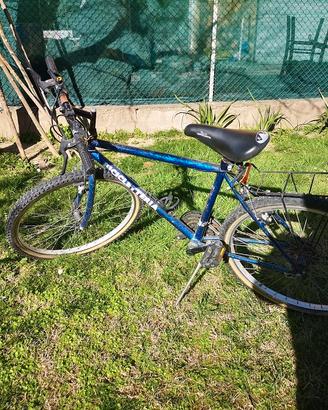 Mountain Bike uomo