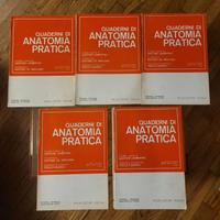Set Quaderni di Anatomia Pratica - Lambertini