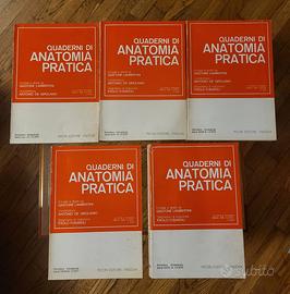 Set Quaderni di Anatomia Pratica - Lambertini