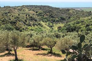 Rif.RI233| terreno agricolo borgia