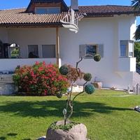 Casa indipendente a Caldaro - via Heppenheimer