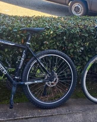 bici da corsa e mountain bike