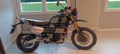 Moto Triumph Scrambler 1200 - 2021