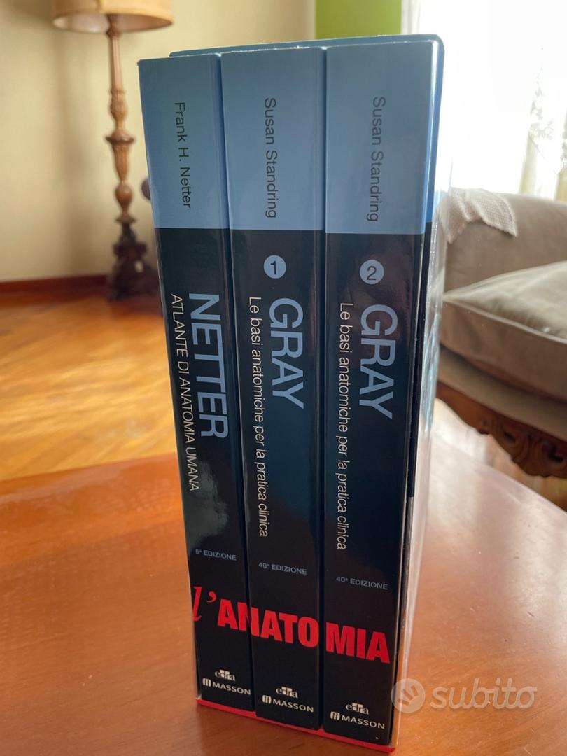 Cofanetto Netter Gray - Libri e Riviste In vendita a Salerno