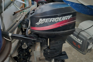 Mercury 25