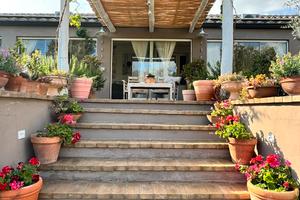 Gioiello Mediterraneo nel verde