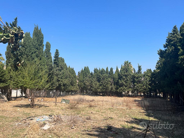 Terreno edificabile mq.2000 con annessa proprietà