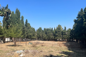 Terreno edificabile mq.2000 con annessa proprietà