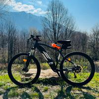 Ebike rockrider
