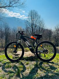 Ebike rockrider