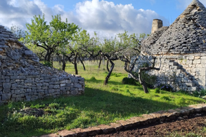 Trulli con terreno