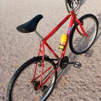 mountain bike da passeggio