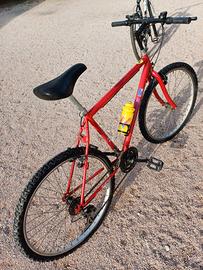 mountain bike da passeggio