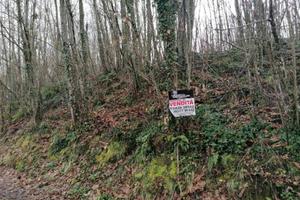 Terreno di 6600 m² a Aiello del Sabato