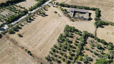 TERRENO AGRICOLO DI OLTRE 1 ETTARO CON FABBRICATI,