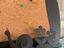 Immagine 2