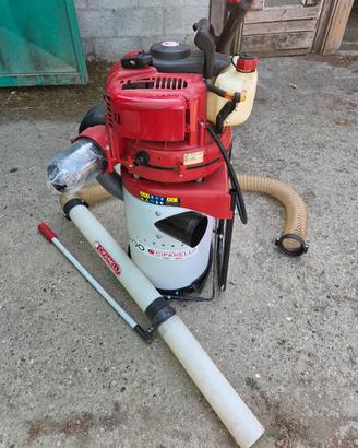 Raccogli nocciole Cifarelli V1200