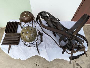 Museruole Striglie Briglia Vintage