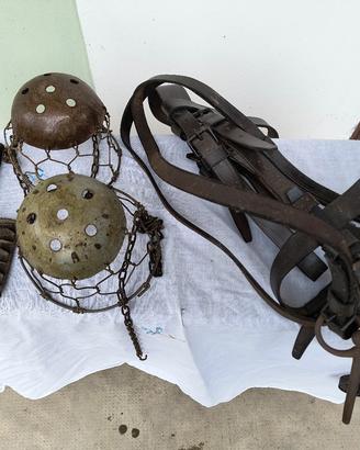 Museruole Striglie Briglia Vintage