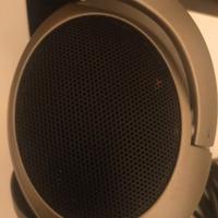 Cuffie aperte Sennheiser HD555