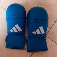 guantini karate blu