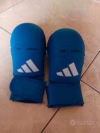 guantini karate blu