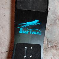 Skateboard vintage