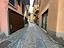 Immagine 12