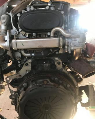 Motore iveco daily - 2.3 d - 2016 - f1agl411d
