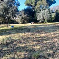Terreno a Ronchi (Ms) 500 m mare a 5 km da Forte