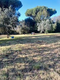 Terreno a Ronchi (Ms) 500 m mare a 5 km da Forte