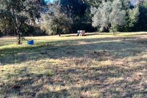 Terreno a Ronchi (Ms) 500 m mare a 5 km da Forte