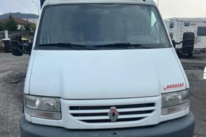 Renault mascotte del 2000 in saldo 521