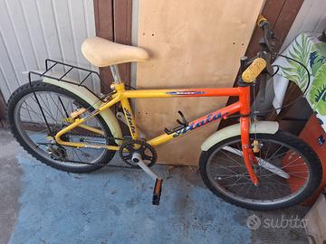 Bicicletta 