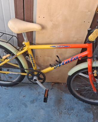 Bicicletta 