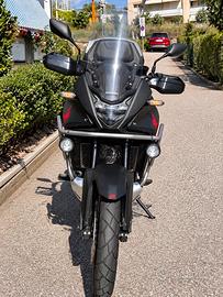 Honda XL750 Transalp Travel Edition 2024