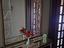 Immagine 4
