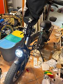 Fat Bike elettrica  STEBIKE