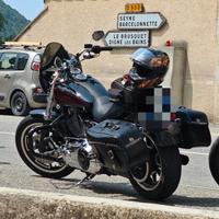 Harley Davidson Dyna Low Rider 103 - 1690 del 2017