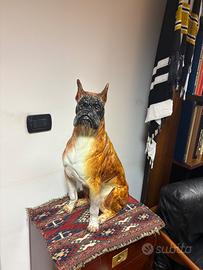 Cane boxer in ceramica