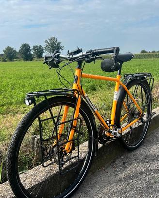 bicicletta Diamant 135 Special Edition (Germany)