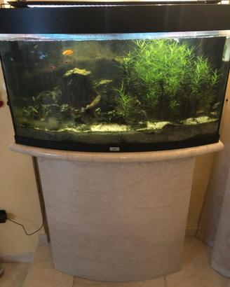 ACQUARIO