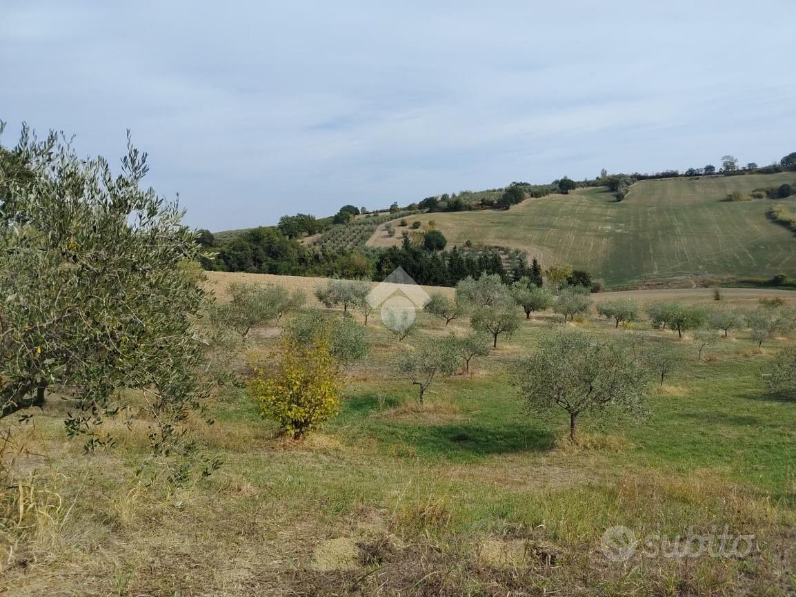 TER. AGRICOLO A VERUCCHIO - Vista 3