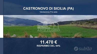 Immobile in asta di 40750 m² a Castronovo di Sicil