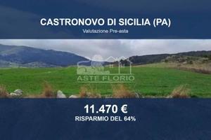 Immobile in asta di 40750 m² a Castronovo di Sicil